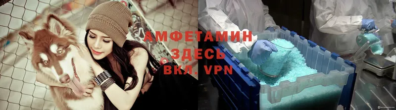 Магазины продажи наркотиков Камешково АМФ  APVP  Каннабис  ГАШИШ  Cocaine 